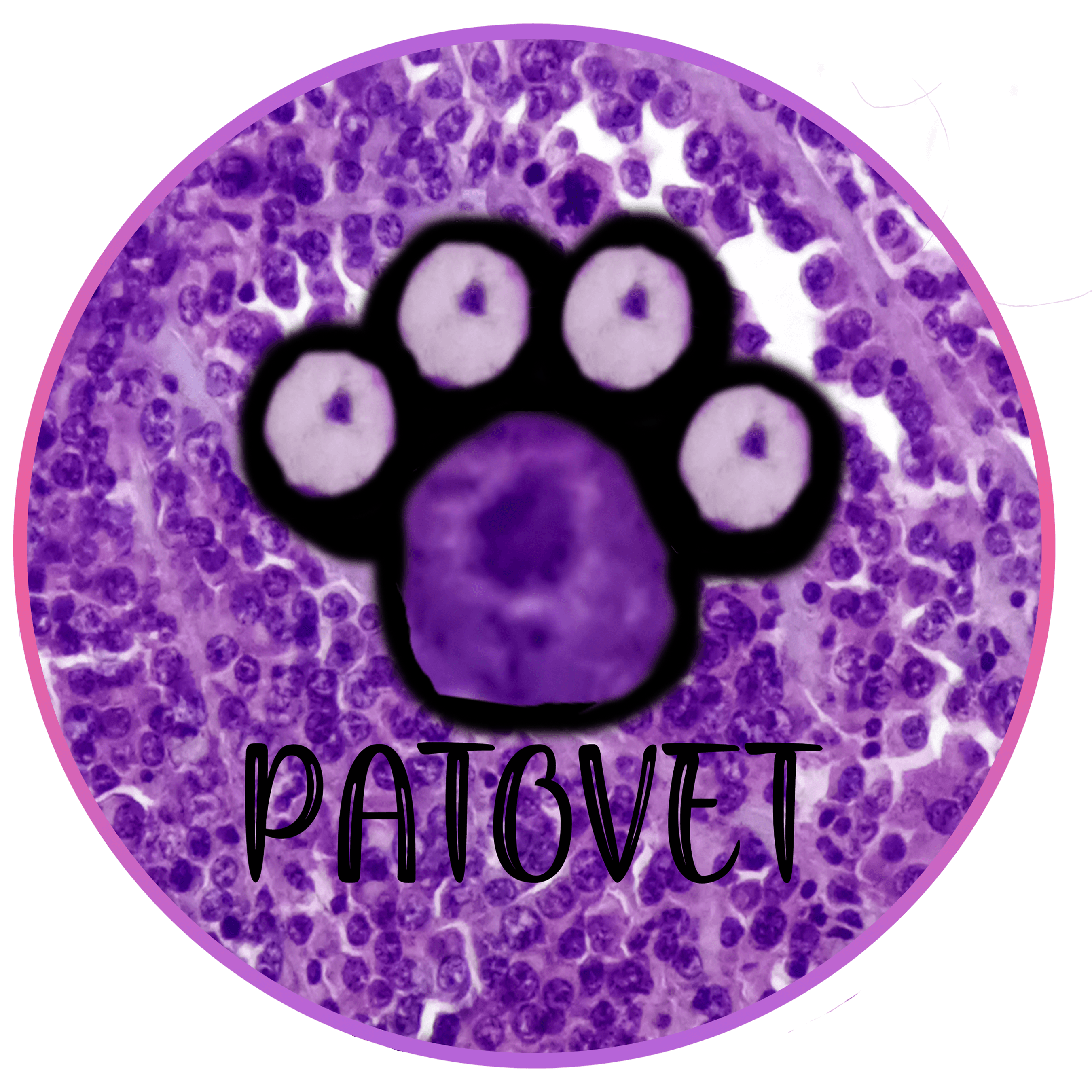 Patovet